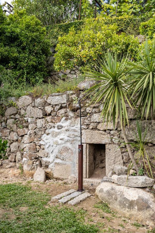 Casas Do Capitao - Paiva Valley - Pool And Nature Castelo de Paiva Exterior photo